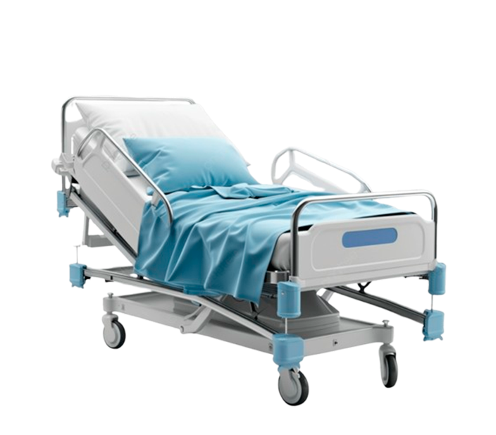Lit Médicalisé